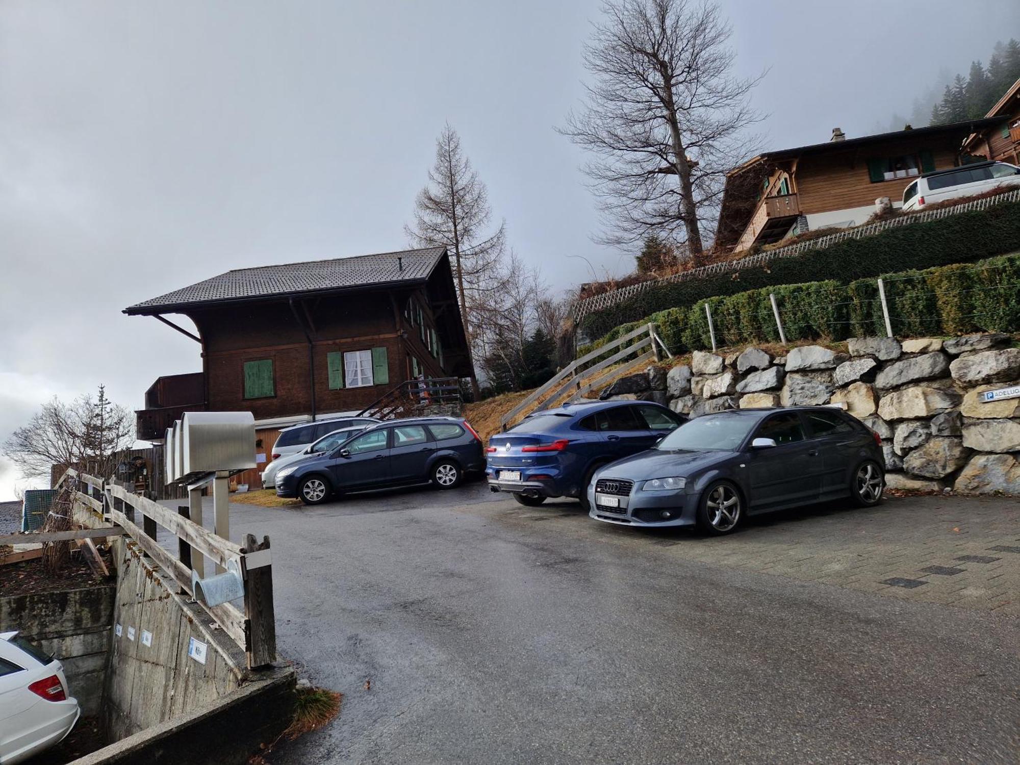 Chalet Gotthelf Gartenstudio, Ferien Mit Hund Adelboden Exterior foto