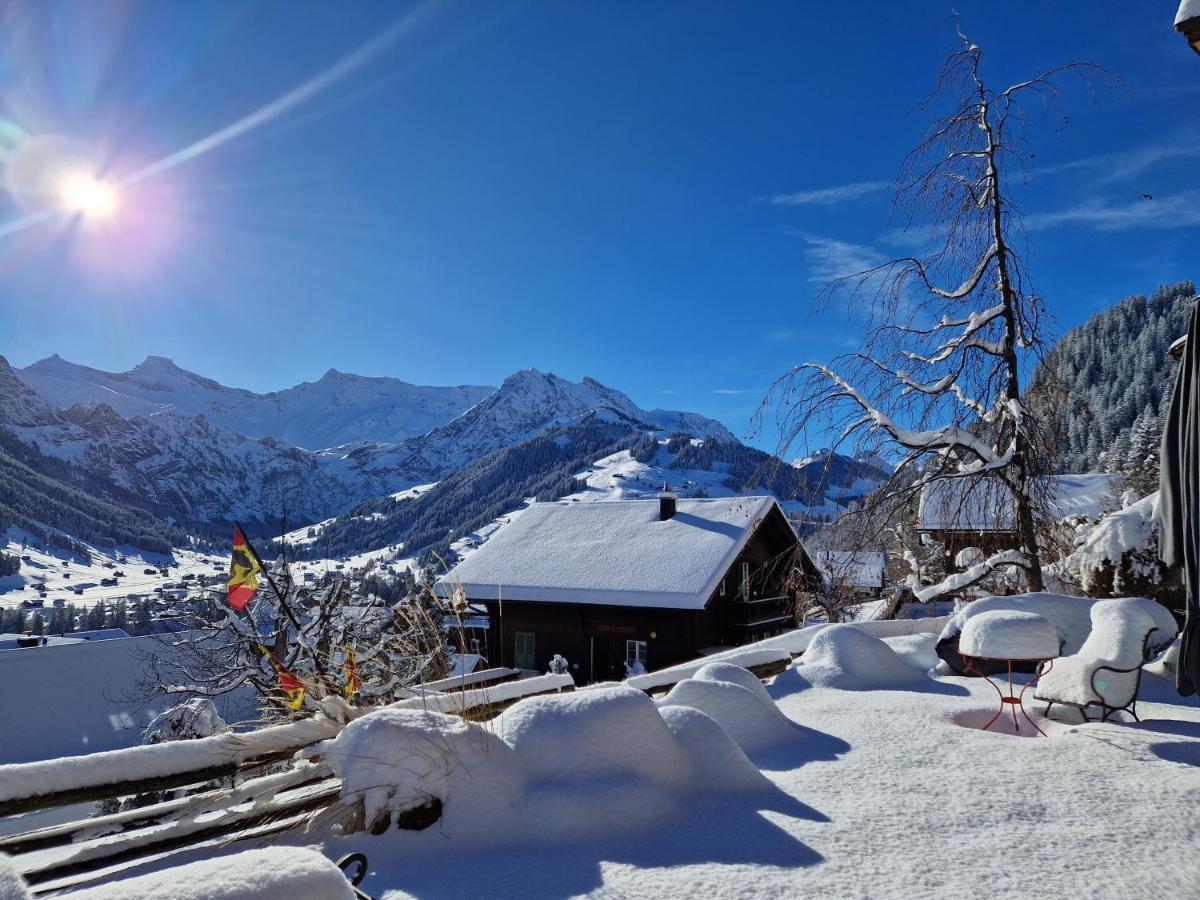 Chalet Gotthelf Gartenstudio, Ferien Mit Hund Adelboden Exterior foto