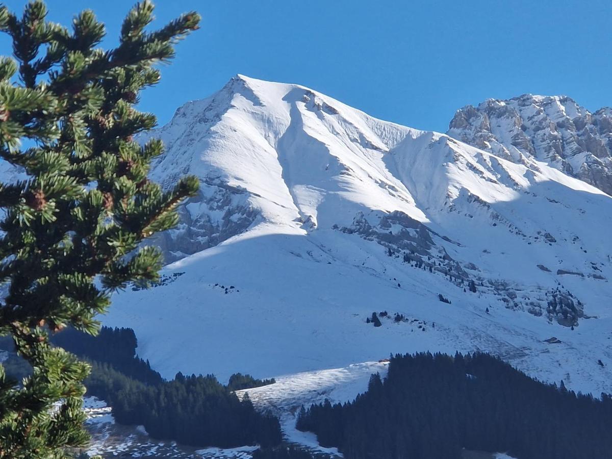 Chalet Gotthelf Gartenstudio, Ferien Mit Hund Adelboden Exterior foto