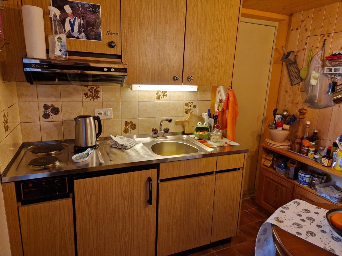 Chalet Gotthelf Gartenstudio, Ferien Mit Hund Adelboden Exterior foto