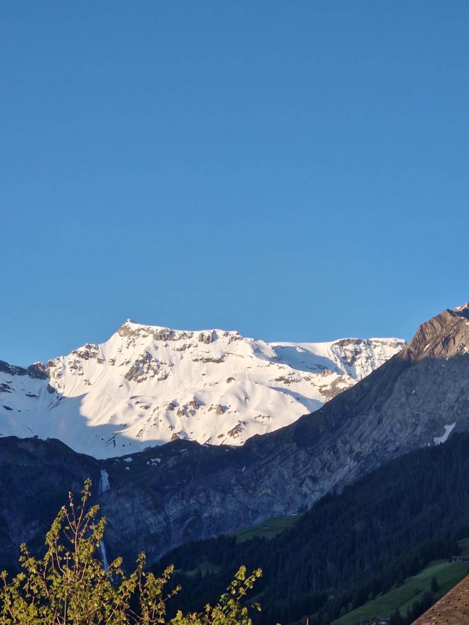 Chalet Gotthelf Gartenstudio, Ferien Mit Hund Adelboden Exterior foto