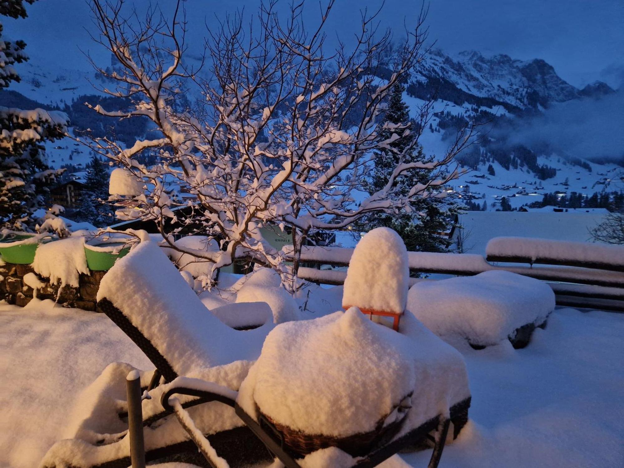 Chalet Gotthelf Gartenstudio, Ferien Mit Hund Adelboden Exterior foto