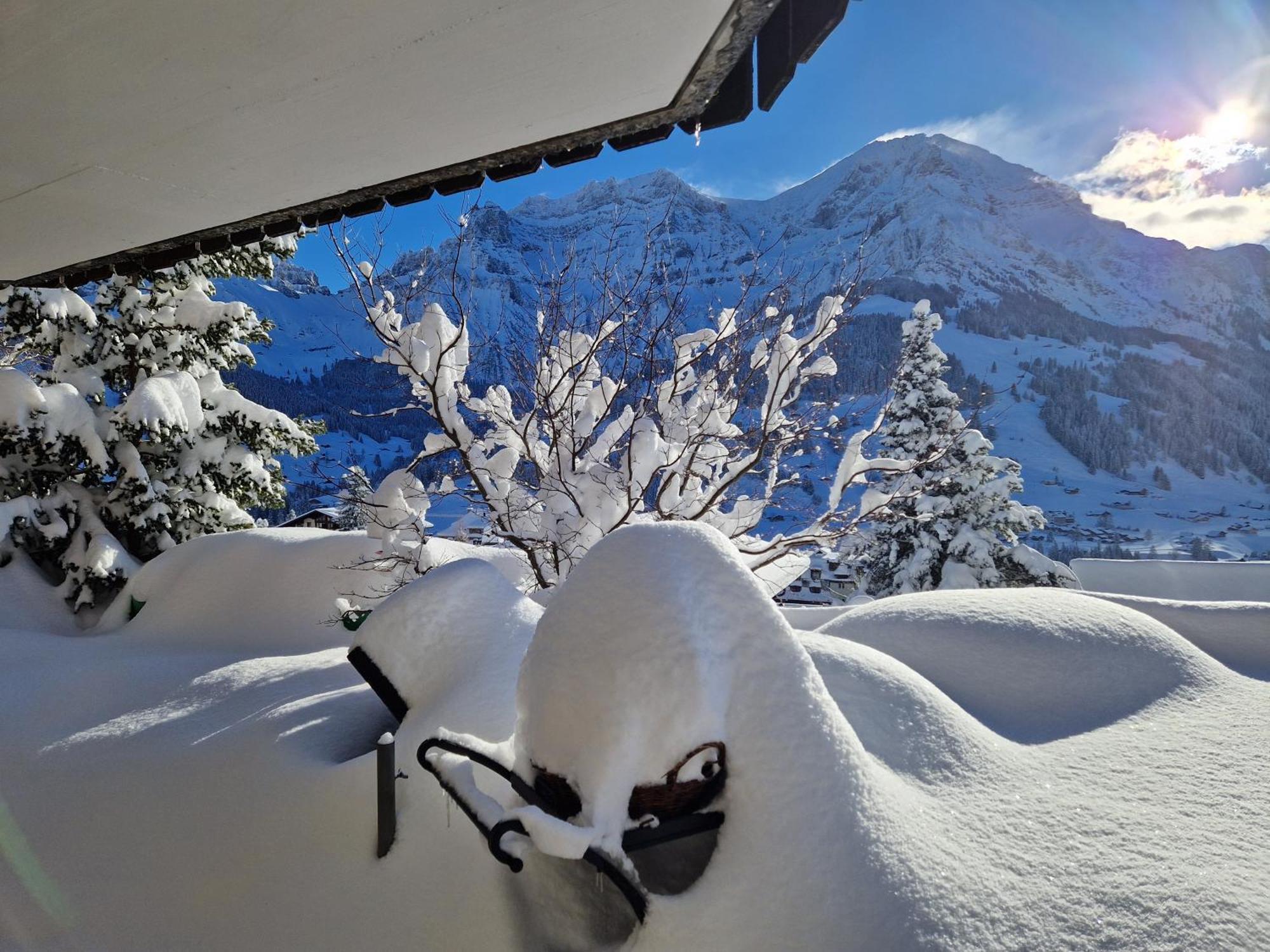 Chalet Gotthelf Gartenstudio, Ferien Mit Hund Adelboden Exterior foto