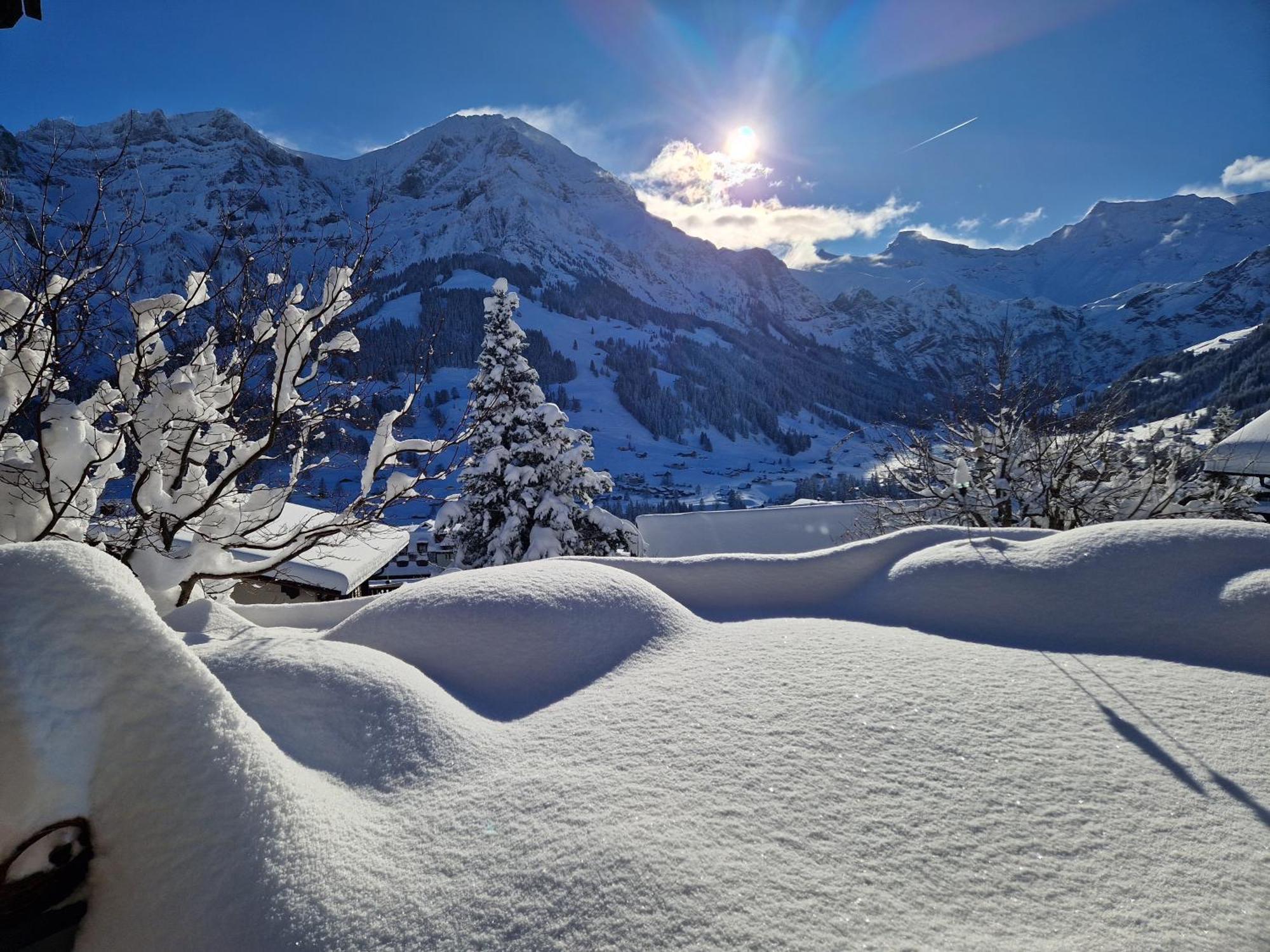 Chalet Gotthelf Gartenstudio, Ferien Mit Hund Adelboden Exterior foto